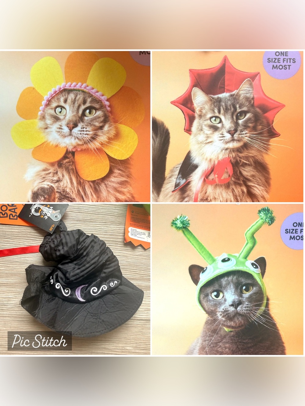 New Halloween Pet Cat Costumes - Witch Hat, Alien, Vampire, and Flower